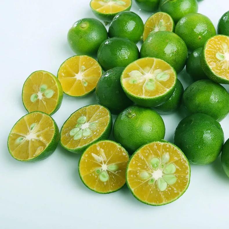 1717771129456963.jpg 4.jpg